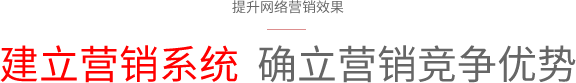 網(wǎng)站營銷